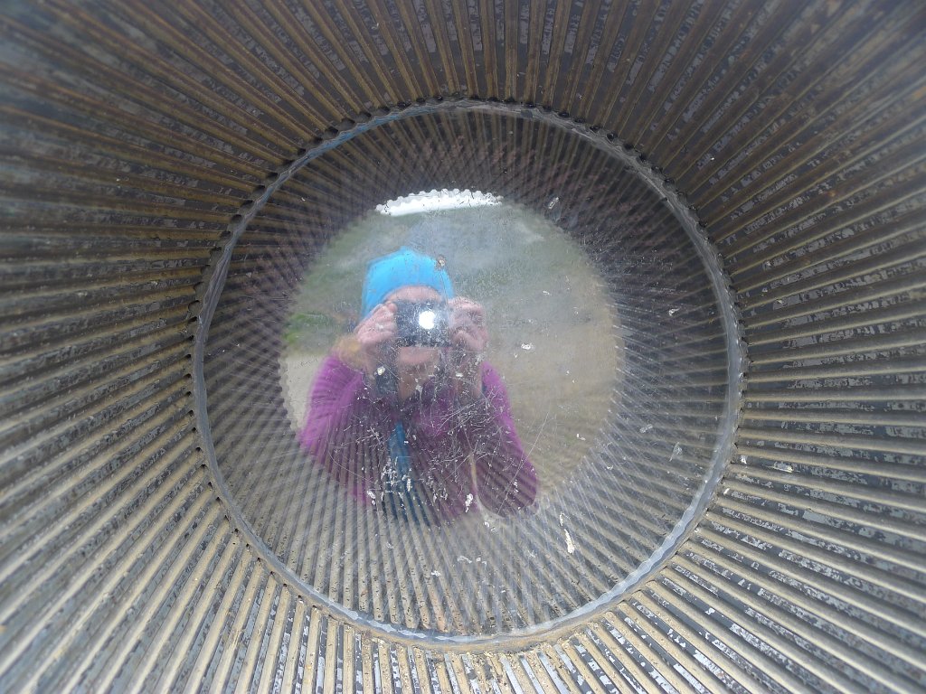 MarinHeadlands 019